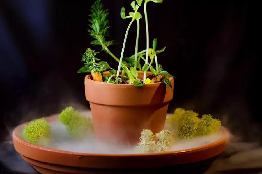 Ein kreatives Gericht, 看起来像贝博体彩app坎普顿广场餐厅的盆栽植物.