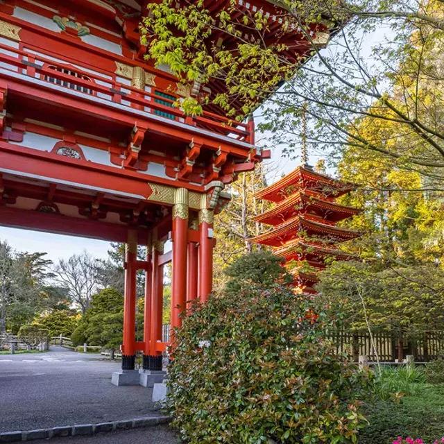 Temple du jardin de thé japonais